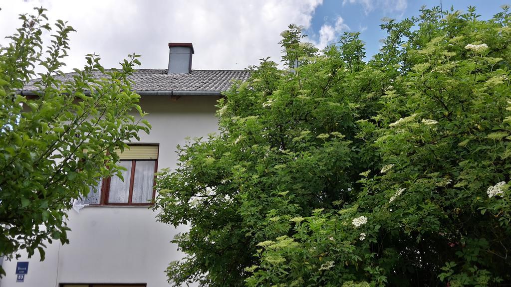 Hotel House Petkovic Korenica Exterior foto
