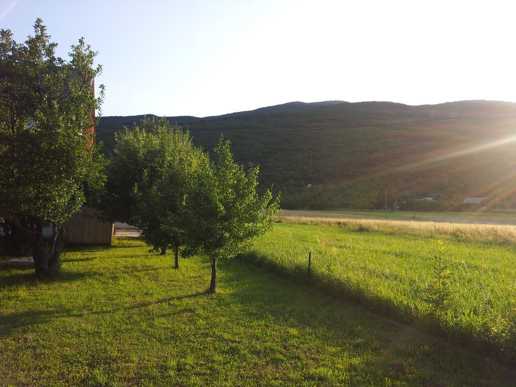 Hotel House Petkovic Korenica Exterior foto